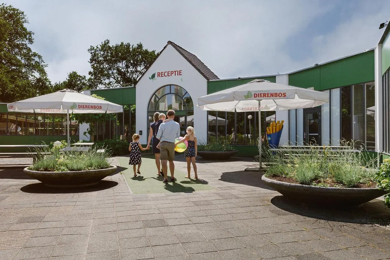 Staying Near Pettelaar Golf Parc: 4 Family Hotels Compared